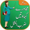 Idioms and Phrases in Urdu