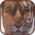Face Animal Mixing