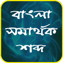 বাংলা সমার্থক শব্দ- Bangla Synonyms APK