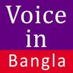 Voice in Bangla
