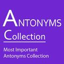 English Antonyms APK