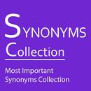 English Synonyms APK