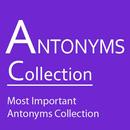 English Antonyms Collection APK