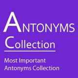 Icona English Antonyms Collection
