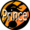 Prince TOP Lyrics aplikacja