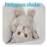 Imágenes chidas icon