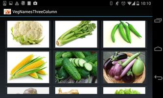 Vegetable Names (3 Lines) capture d'écran 3
