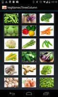 Vegetable Names (3 Lines)-poster