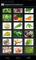 Vegetable Names (3 Lines) 截圖 2