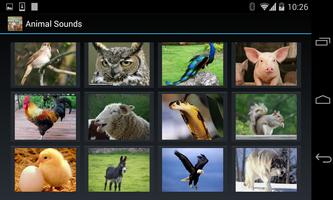 Animal Sounds (4 line display) ポスター