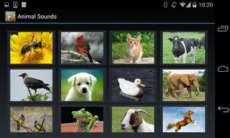 Animal Sounds (4 line display) captura de pantalla 2