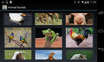 Animal Sounds (3 line display) capture d'écran 3