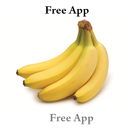 Fruit Names (4 line display) APK