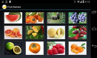 Fruit Names (4 line display) capture d'écran 2
