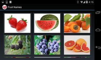 Fruit Names (3 line display) capture d'écran 2