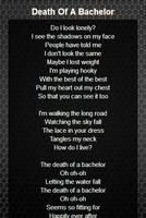 Panic! At The Disco Lyrics スクリーンショット 2