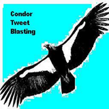 Condor Tweet Blaster (Pro) アイコン