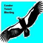 Condor Tweet Blaster (Pro) icône