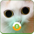 White Cat Wall & Lock