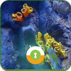 Icona Aquarium 3D Wall & Lock