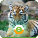 Baby Tiger Wall & Lock APK