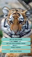 Baby Tiger Wall & Lock syot layar 1