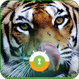 Bengal Tiger Tongu Wall & Lock icon