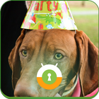 Birthday Dog Wall & Lock ikon