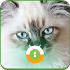 Blue Cat Eyes Wall & Lock icon