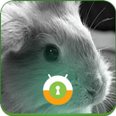 Bunny Funny Wall & Lock-APK