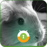 Bunny Funny Wall & Lock 图标