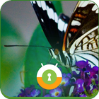 Butterfly Wall & Lock icono