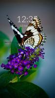 Butterfly Wall & Lock plakat