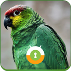 Green Parrot Wall & Lock أيقونة