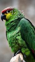 Green Parrot Wall & Lock poster