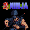 Pixel Ninja Gaiden ~Retro Shinobi Story~