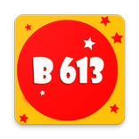 New Selfie Camera B613