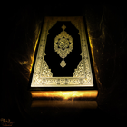 Love Quran Love Allah-icoon