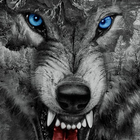 Roaring Wild Wolf Theme icône