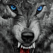 Ревущая тема дикого волка