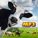 Funny Cow Sounds Audio APK