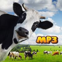 Funny Cow Sounds Audio screenshot 1