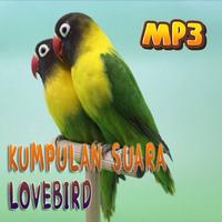 Masteran Suara Burung Lovebird Ekran Görüntüsü 2