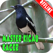 Master Kicau Kacer MP3