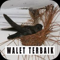 2 Schermata Suara memikat Burung Walet