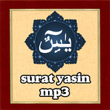 Surat Yasin Full Audio MP3 icône