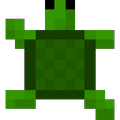 Turtle Race