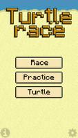 Turtle Race Affiche