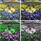 Photo Color Edit APK