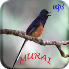 Murai Master Mp3 आइकन
